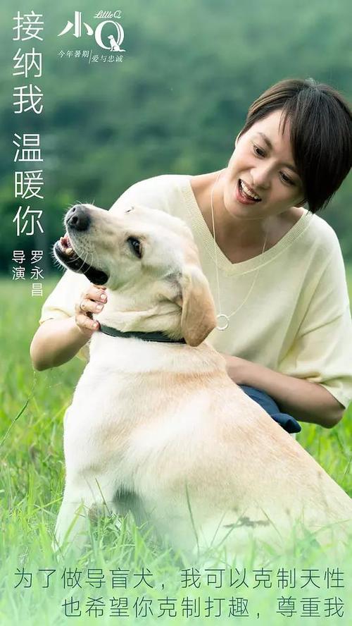 仿制仁川大学毕业证